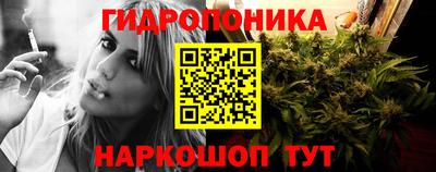 гидра Тверь