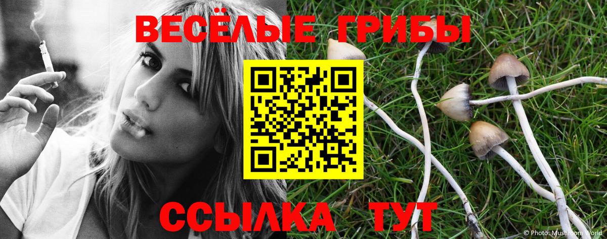 Галлюциногенные грибы MAGIC MUSHROOMS Севастополь