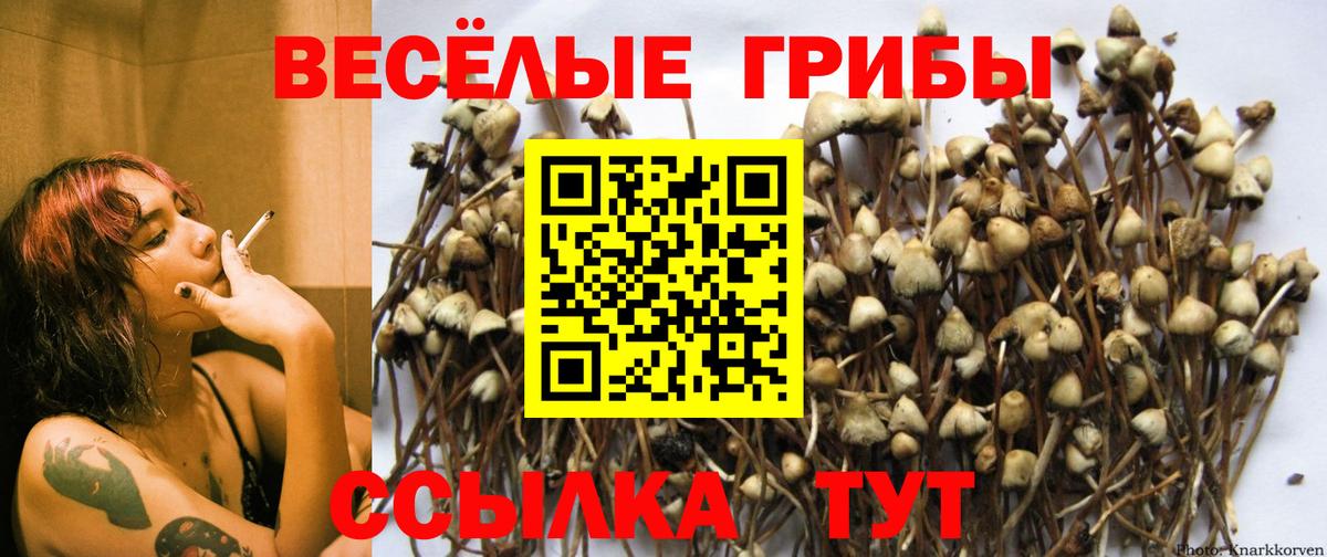 Севастополь  Галлюциногенные грибы мицелий  купить наркоту  Вход с VPN 